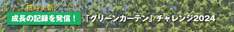 2024年グリーンカーテン活動